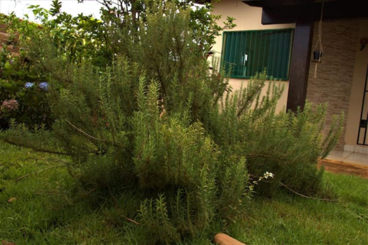 Casa Com Spa De Hidro, Aquecedor E Cromoterapia A 1,0 Km Do Centro Chapada dos Guimarães Екстериор снимка