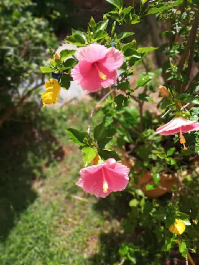 Casa Com Spa De Hidro, Aquecedor E Cromoterapia A 1,0 Km Do Centro Chapada dos Guimarães Екстериор снимка